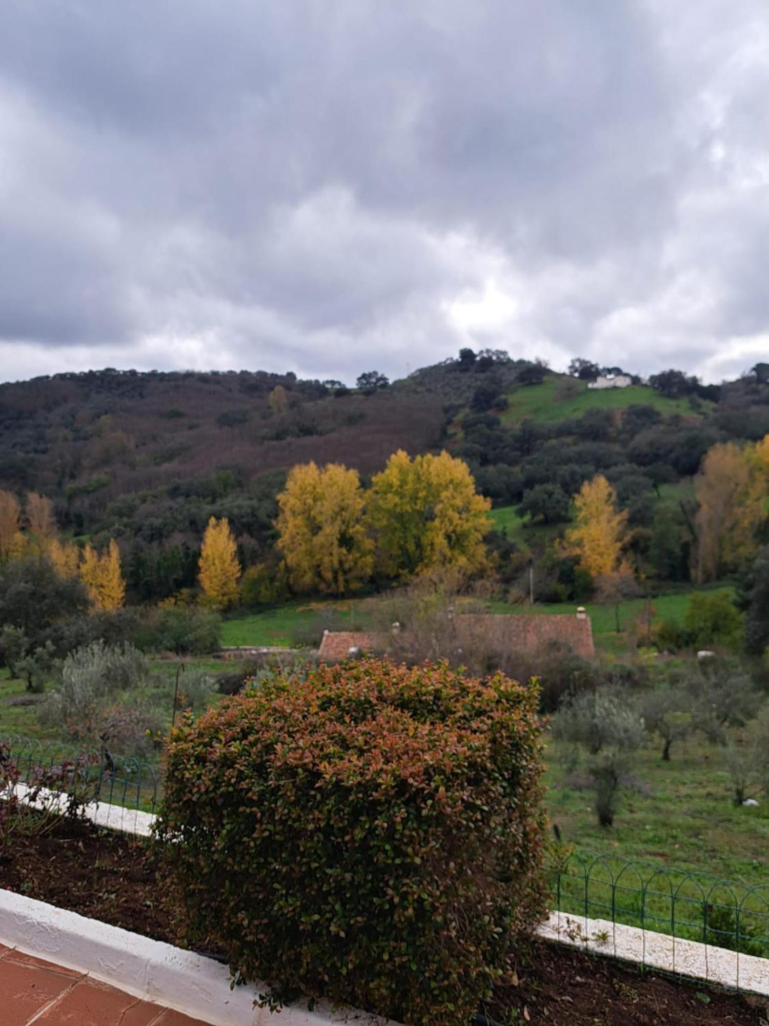 Casa Rural Villa Manuela カサジャ・デ・ラ・シエラ エクステリア 写真