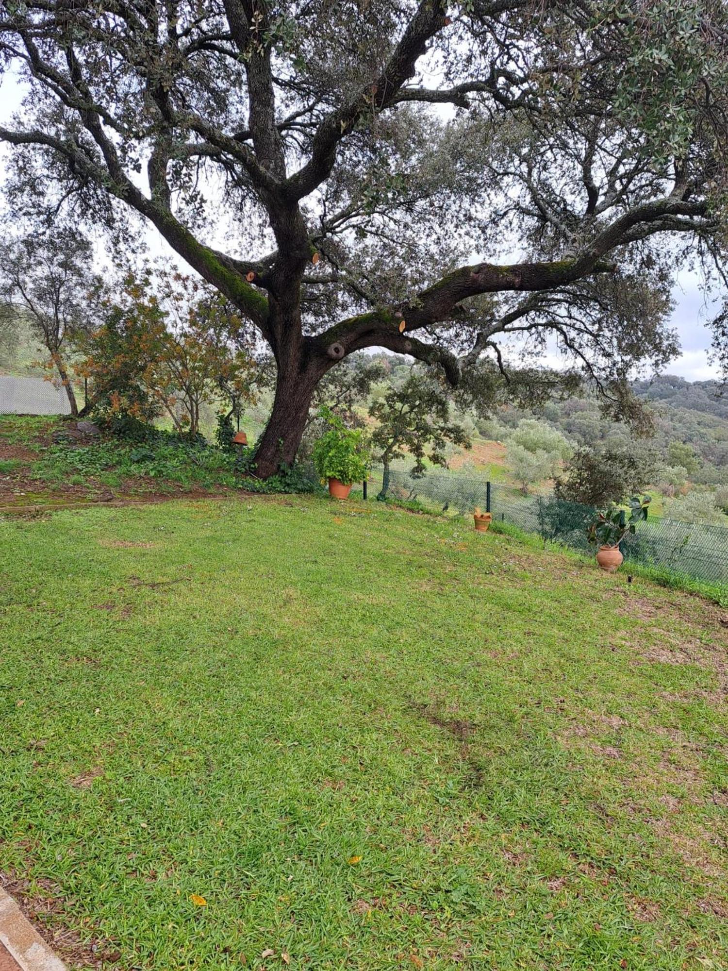 Casa Rural Villa Manuela カサジャ・デ・ラ・シエラ エクステリア 写真