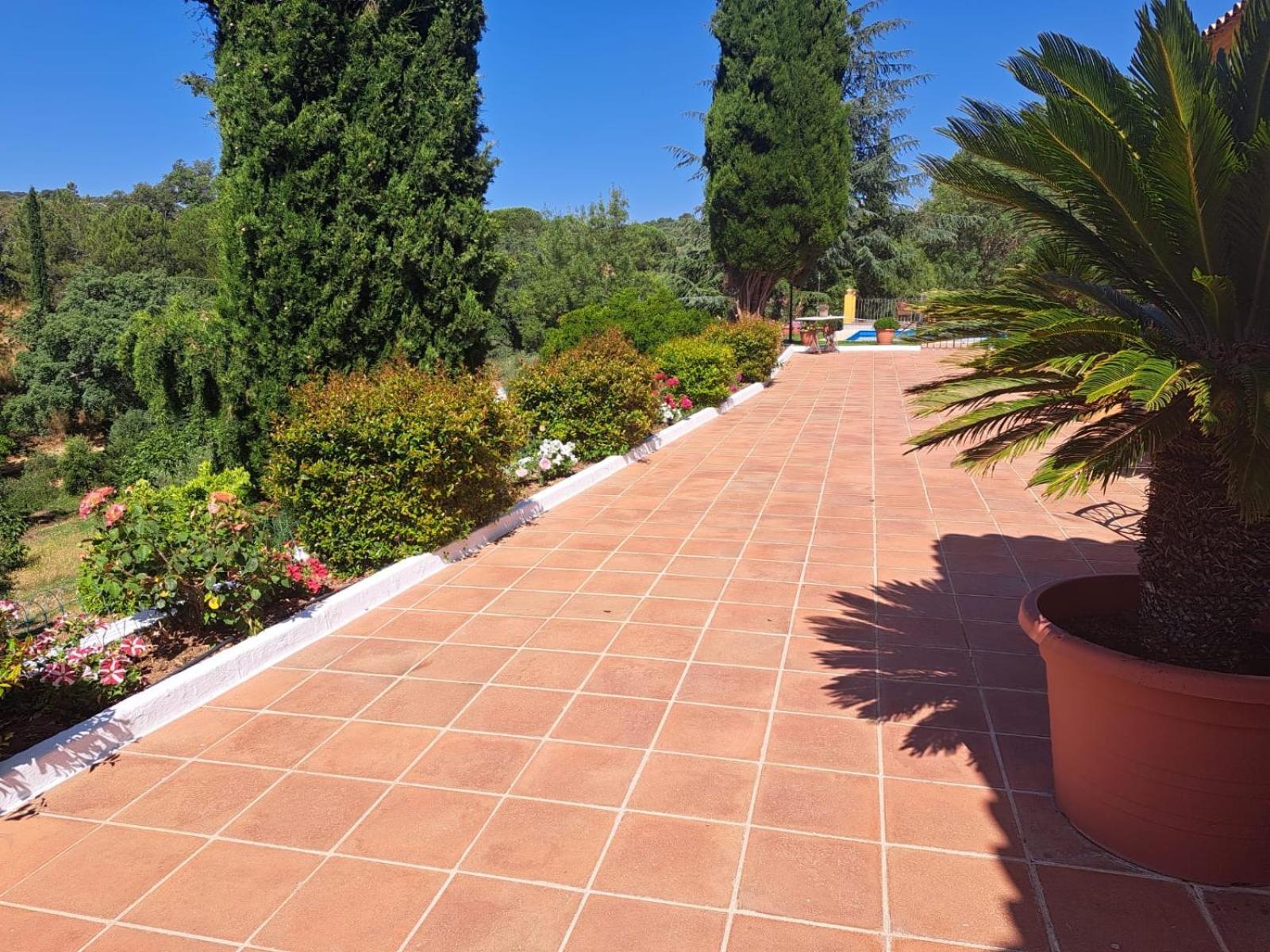 Casa Rural Villa Manuela カサジャ・デ・ラ・シエラ エクステリア 写真